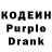 Codein Purple Drank Dasha Zadoroznii