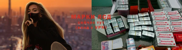 гидропоника Горно-Алтайск