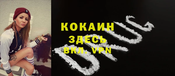 гидропоника Горно-Алтайск