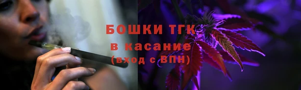 дурь Горняк