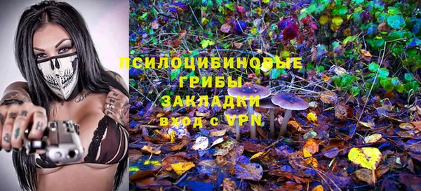 гидропоника Горно-Алтайск