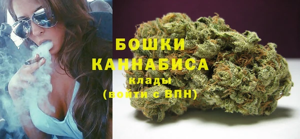 гидропоника Горно-Алтайск