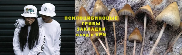 гидропоника Горно-Алтайск